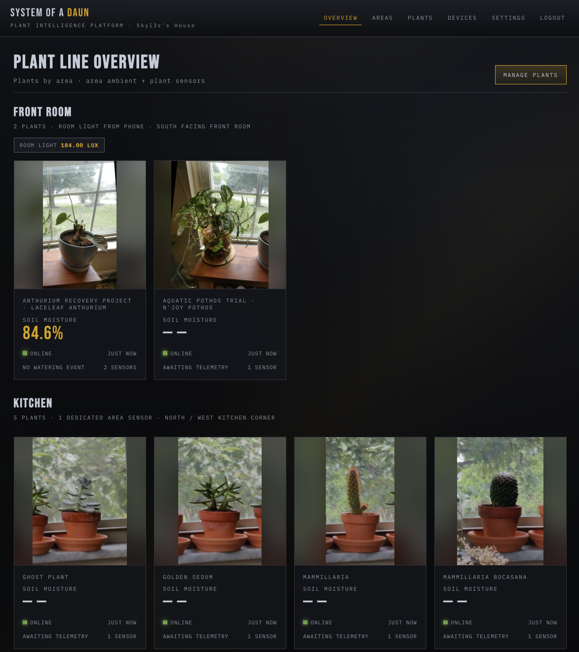 System of a Daun preview